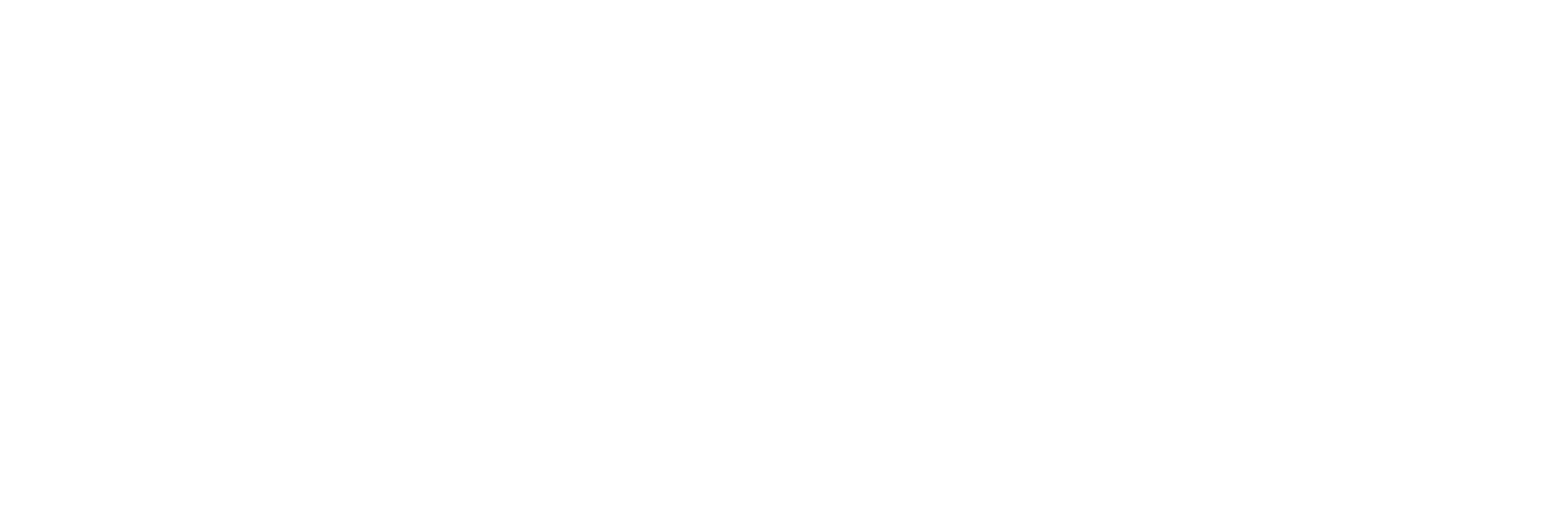 changetech-rising-logo-white
